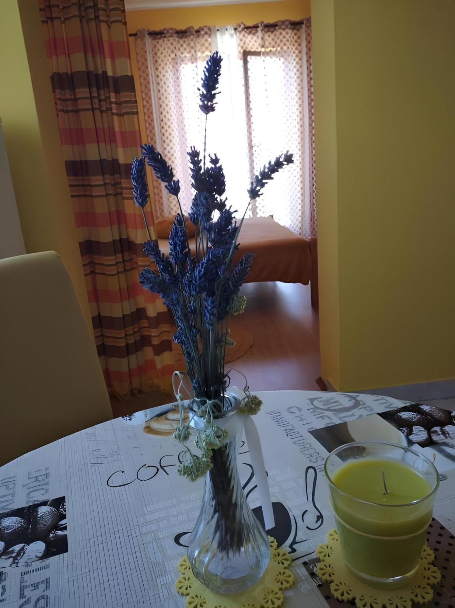 Cozy Apartments Danica Novalja With Terrace - First Floor エクステリア 写真